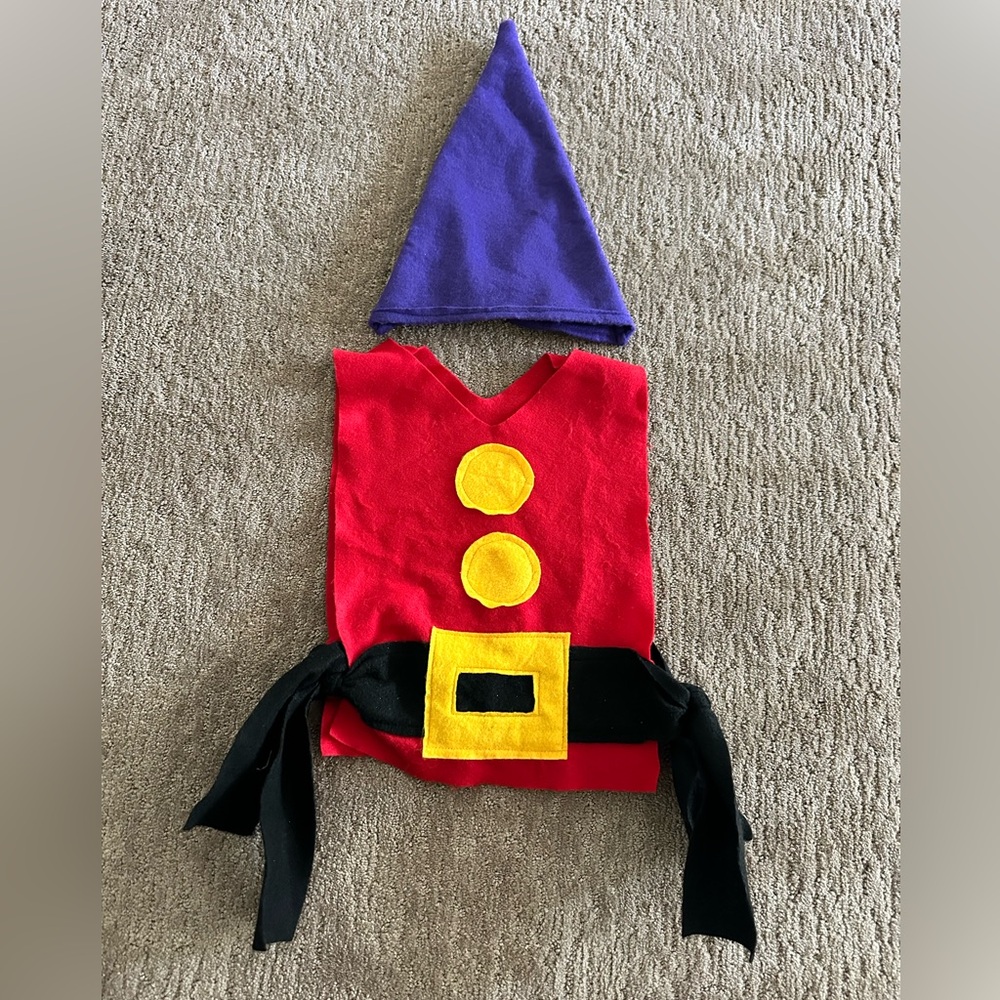 Grumpy Dwarf costume from Etsy kids size 3-9yr old.